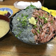 試合前に沼津港で生しらす・桜えびの丼いただきました