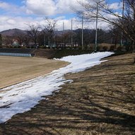 スタジアム周辺（運動公園内）