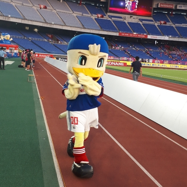 マリノスケが来てくれました