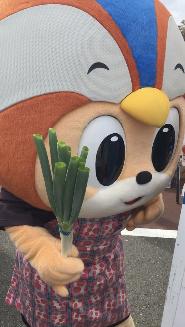 ネギを沢山配ってました！