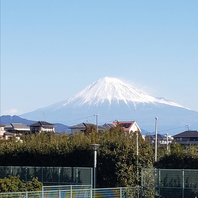 富士山さいこー