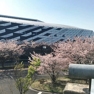 満開に咲き誇る桜