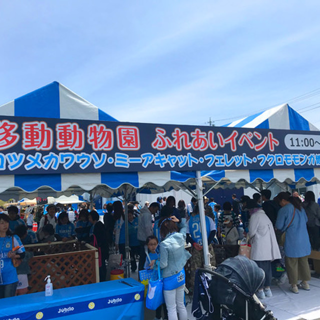 スタジアムに移動動物園が来てれました！①