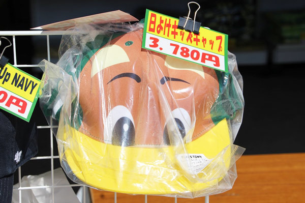 日よけはこれでカンペキ