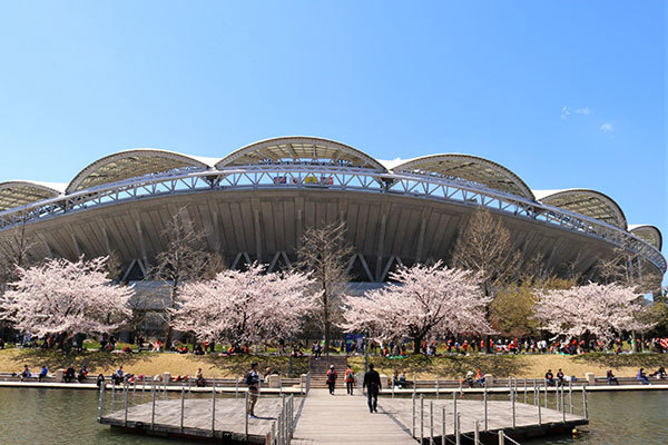 最高のお花見日和！