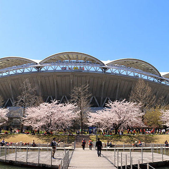 最高のお花見日和！