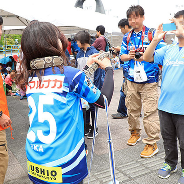 ピカスタどうぶつ園の１番人気（？）