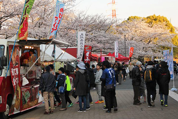 見事に満開の桜