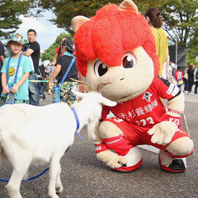 動物たちとふれあい、楽しそうなロアッソくん