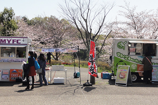 周辺の桜は五分咲き程度