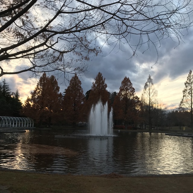 南ゲート側の泉ケ池の噴水
