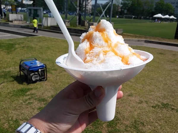 秋田雪ピーチ