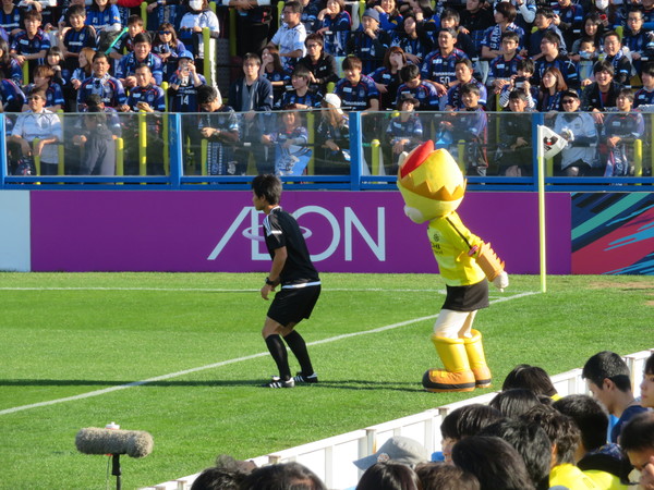 審判さんと同じ動きをして遊びます。