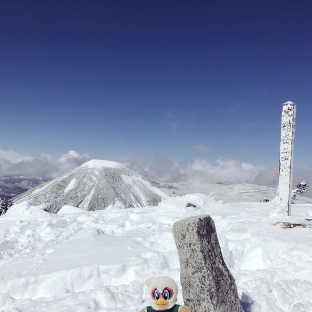 昨日、アルウィンの前哨戦として、ガンズ君とともにアルプスに登ってきました。
今日も頑張ろう！