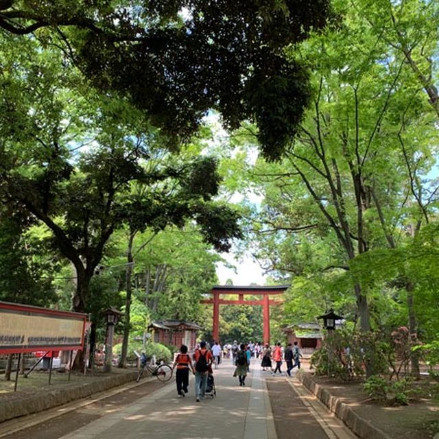 氷川神社の参道は気持ちがいい