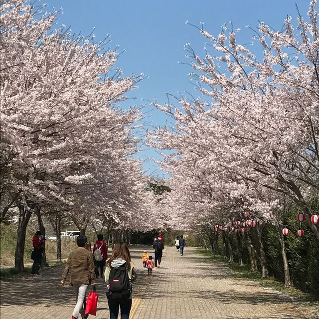 ユニで1枚撮っておくといつの写真かすぐに思い出せて便利。