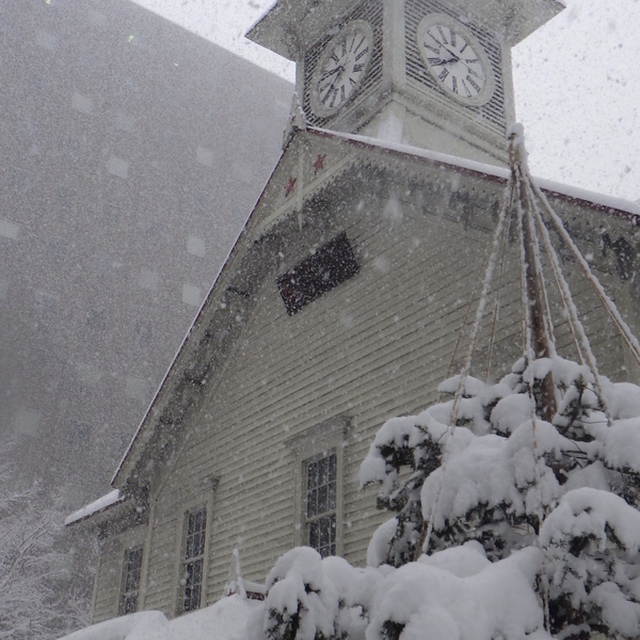 北海道を舐めちゃいけない、3月でも大雪、あっと言う間に