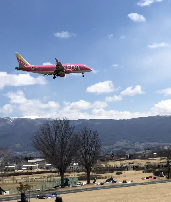 アルウィンの横を飛んでいく飛行機