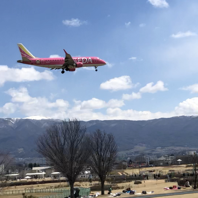 アルウィンの横を飛んでいく飛行機