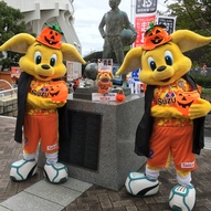 ハロウィンに一番近いホームゲームにはハロウィンコスチュームのこパルちゃんがお菓子を待っています♪