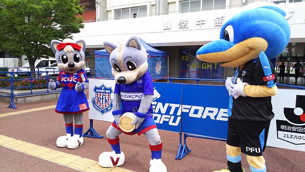 風呂桶で遊ぶヴァンくん