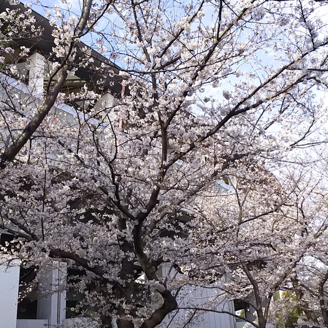 奥の建物がスタジアムです