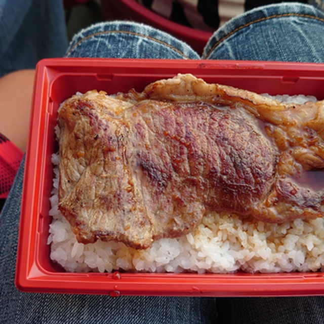 やまびこのステーキ丼