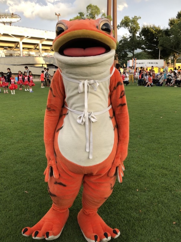 一平くんのカラーバリエーション 虎一平くん 哺乳類っぽさと毒々しさがチャームポイント ライブイベントに行くと虎柄に会えるかも By ゆりちん ニンジニアスタジアム 愛媛ｆｃ マスコット Js Link スタジアムナビ