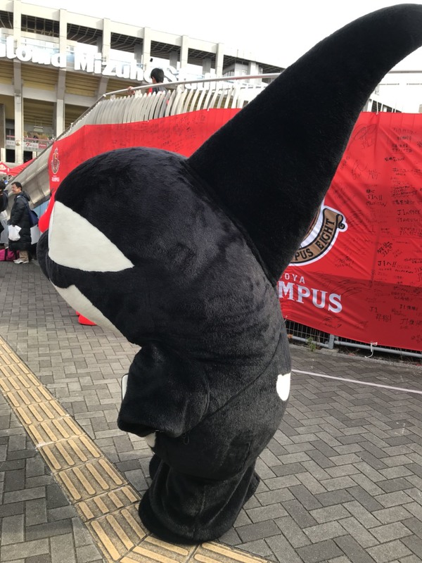 尾びれが長いグランパスくん