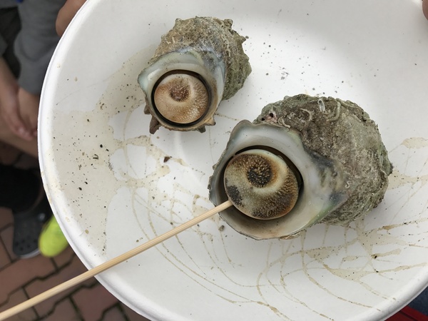 サザエのつぼ焼き