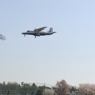 隣に調布飛行場があり、飛行機が頻繁に往来しています。