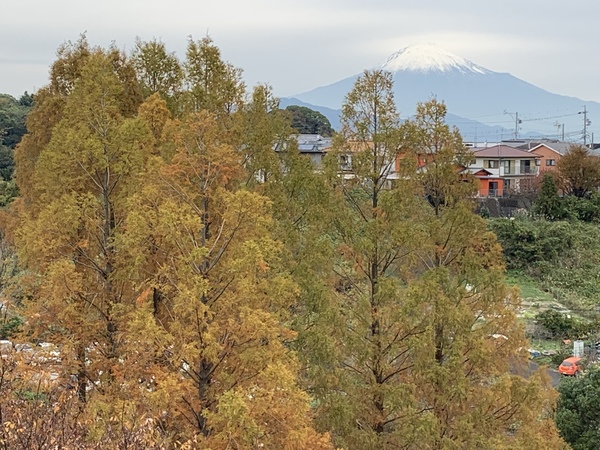 スタジアムから見える富士山