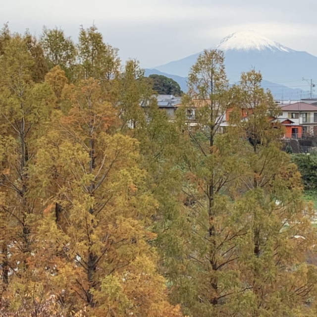 スタジアムから見える富士山